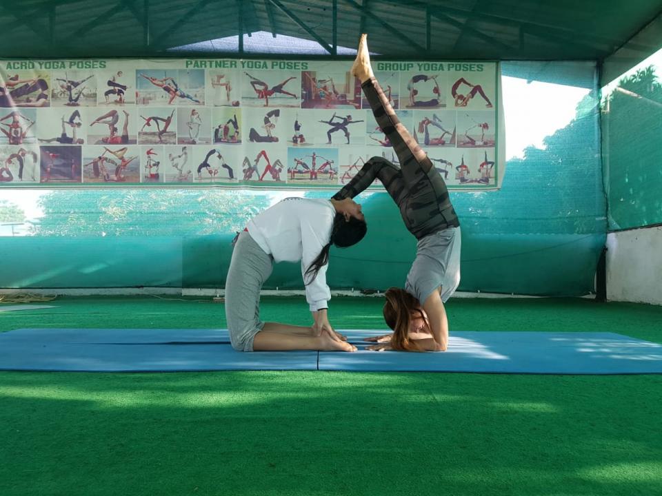 Transform Your Practice: 200-Hour Yoga Teacher Training in Dehradun Starting February 3rd Cover